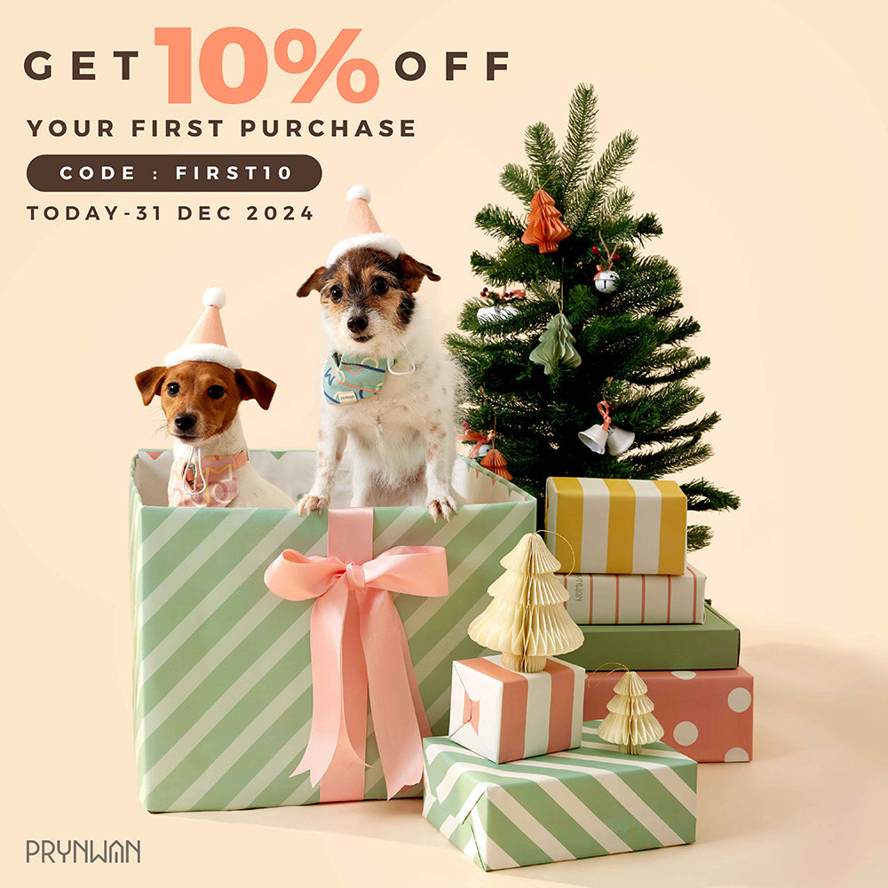 PRYNWAN GET 10% off for First Purchase