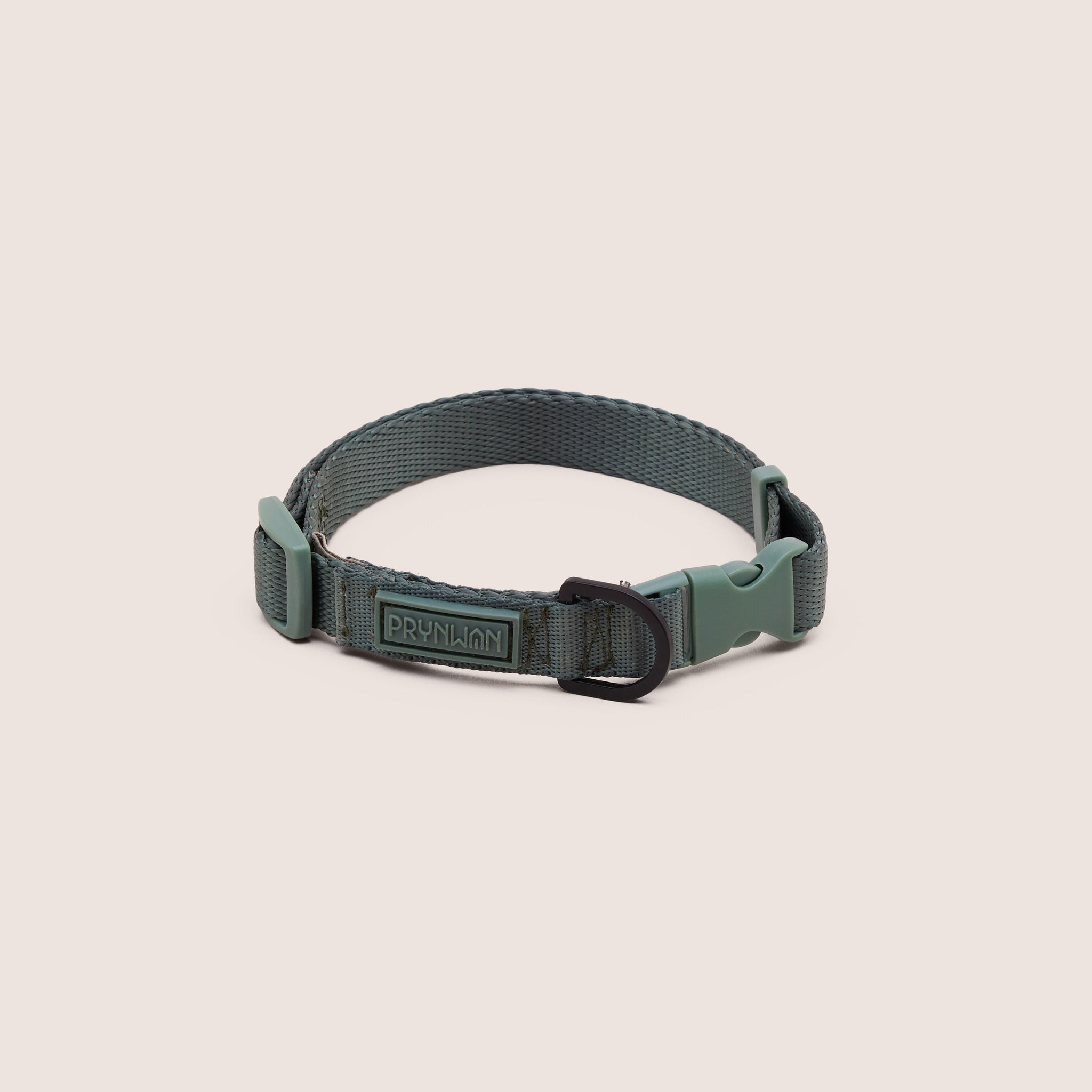 DOG COLLAR - VERDE | ปลอกคอ สัตว์เลี้ยง