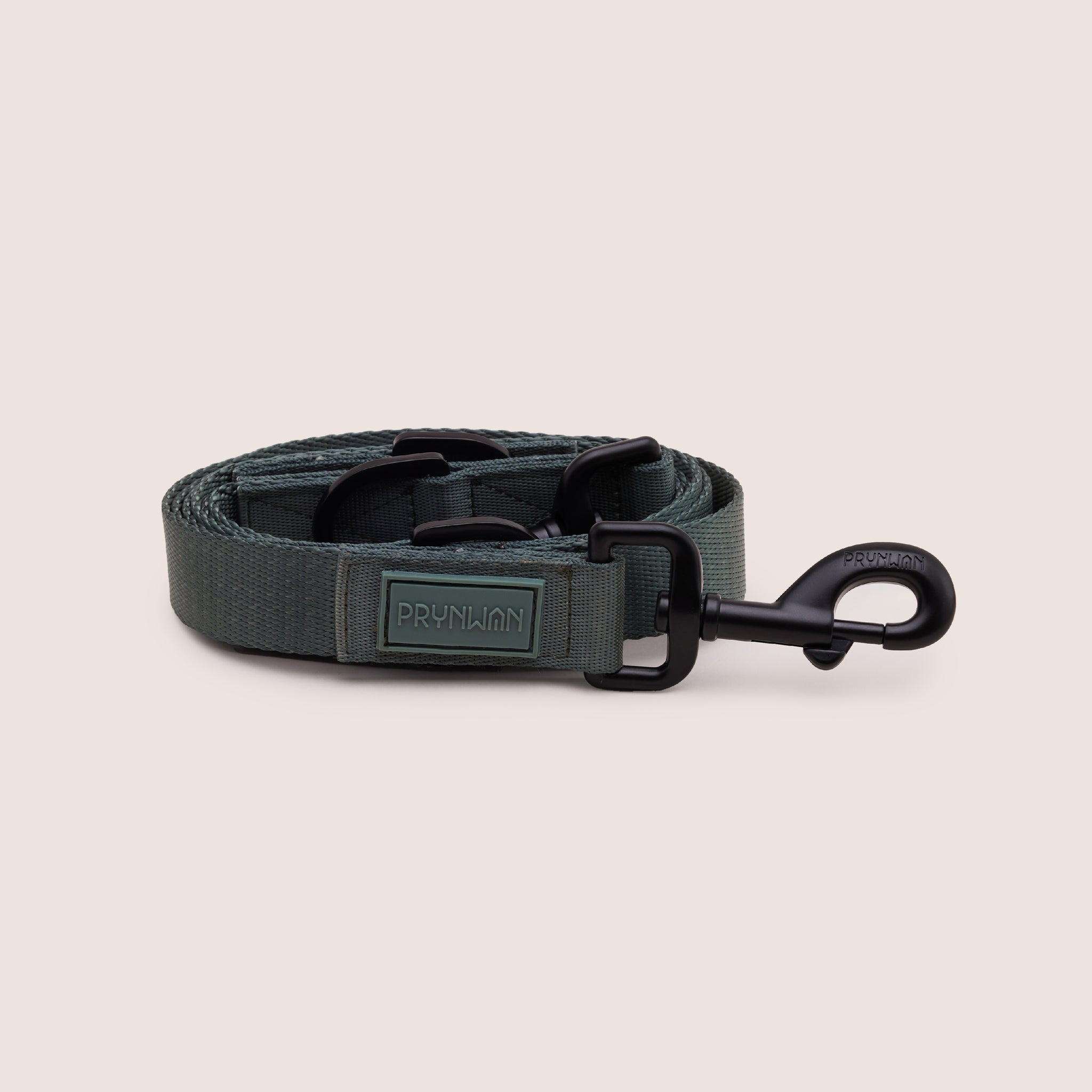 DOG LEASH - VERDE | สายจูง สัตว์เลี้ยง