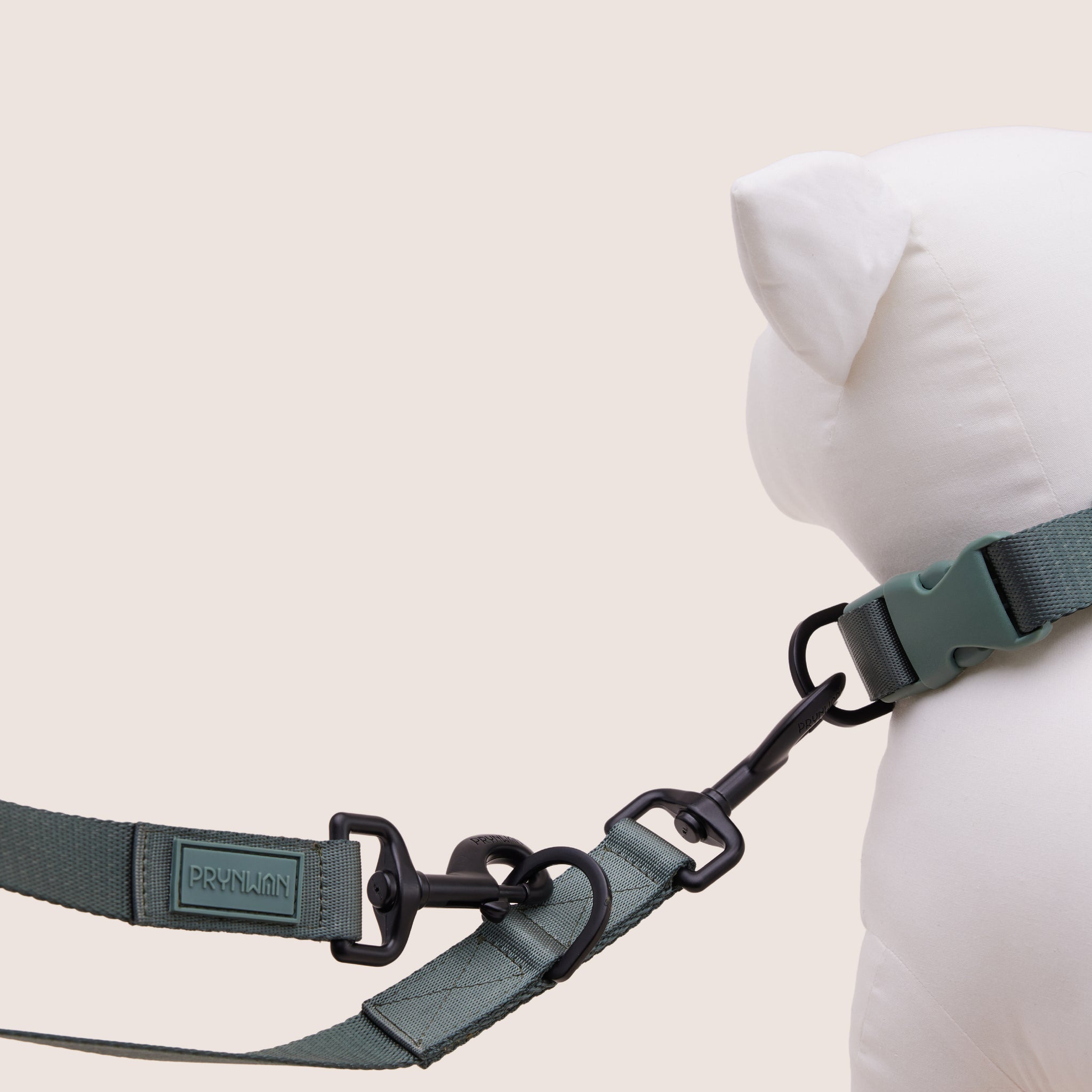 DOG LEASH - VERDE | สายจูง สัตว์เลี้ยง