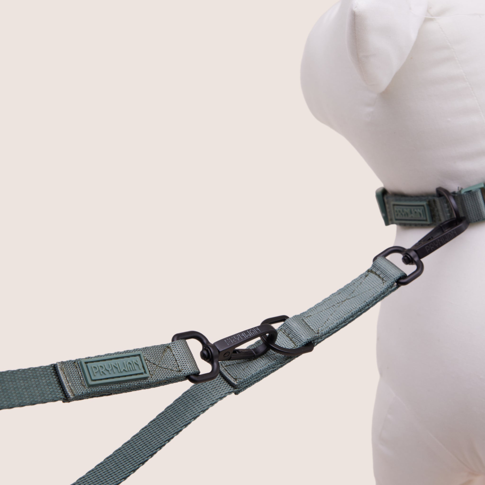 DOG LEASH - VERDE | สายจูง สัตว์เลี้ยง