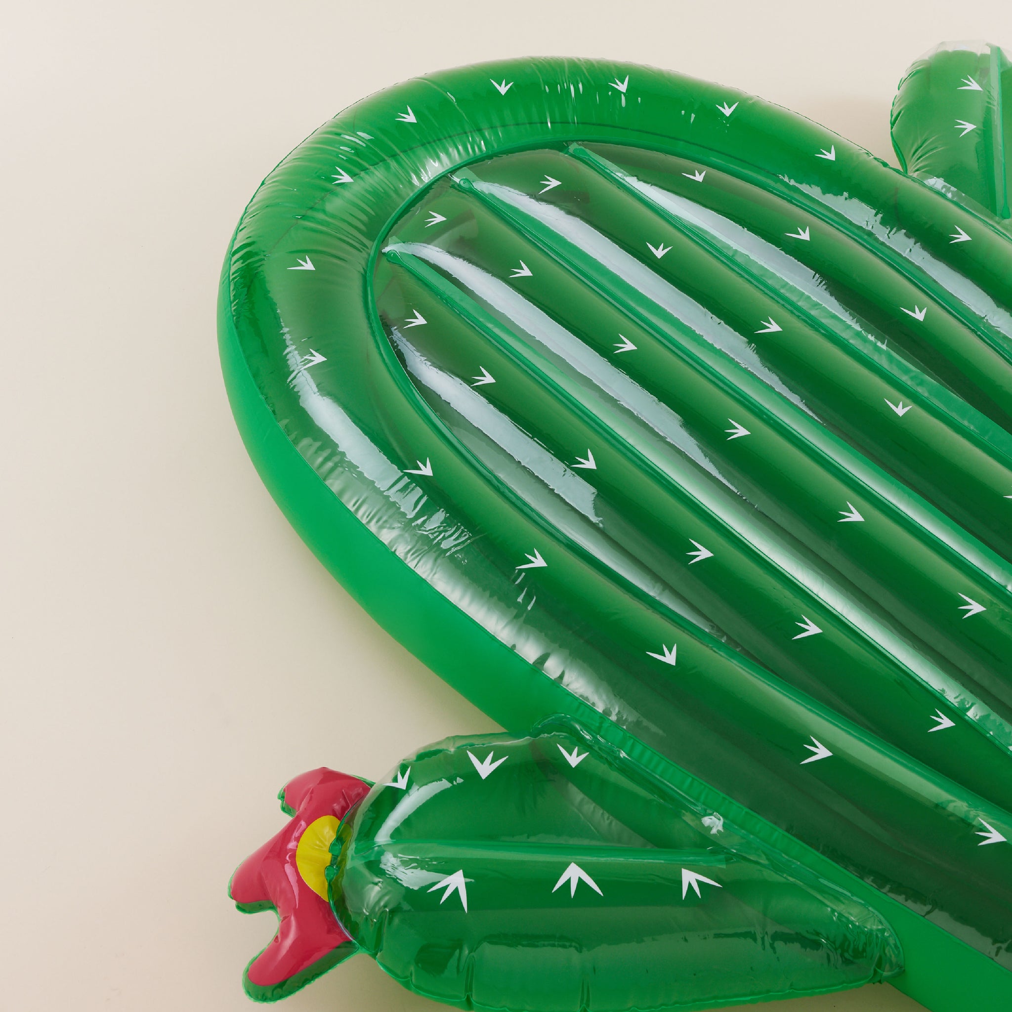 Inflatable Cactus | เบาะลอยน้ำ