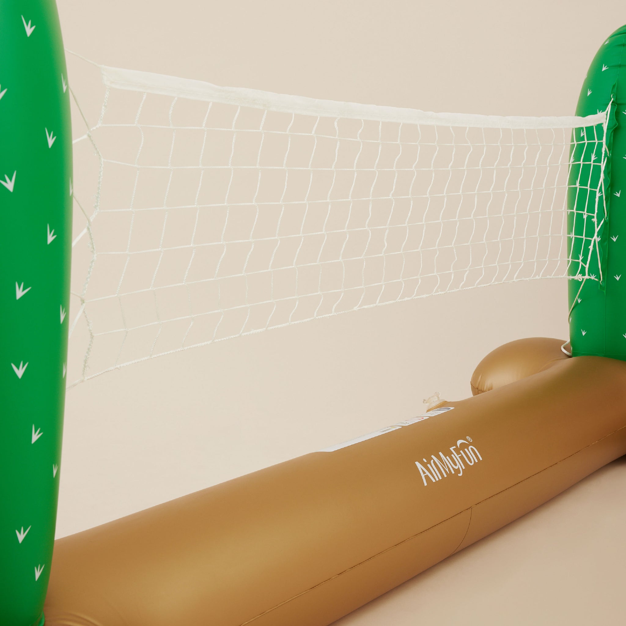 Inflatable Cactus Net | เน็ตลอยน้ำ
