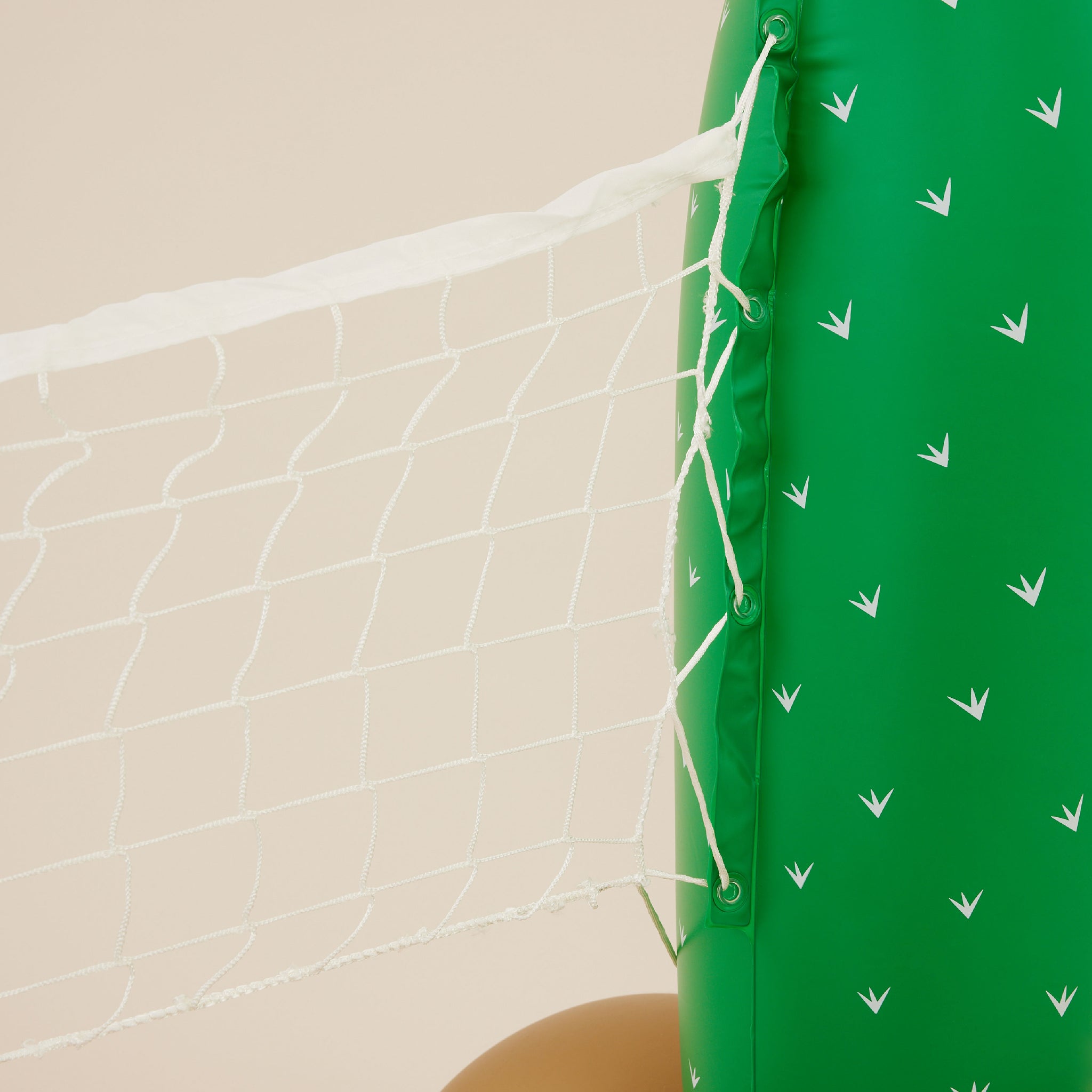 Inflatable Cactus Net | เน็ตลอยน้ำ